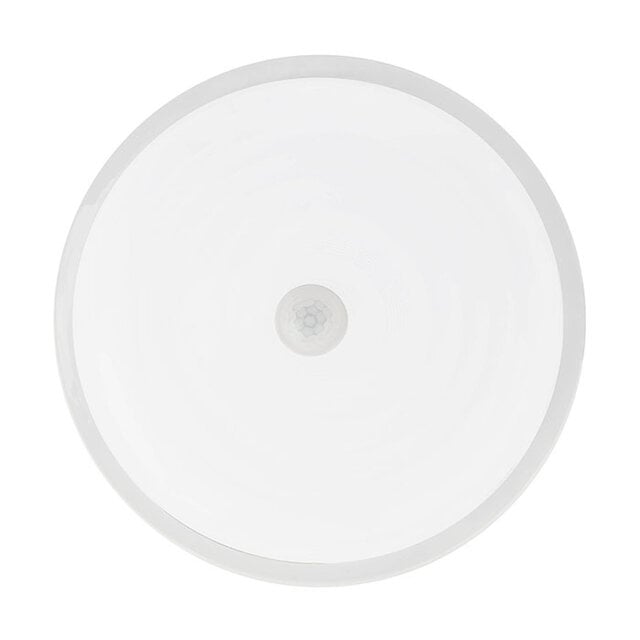 HLW LED HLW LED BOLKAR LED Bulkhead lamp | 20W | 6400K | IP44 | 2400lm | Wit