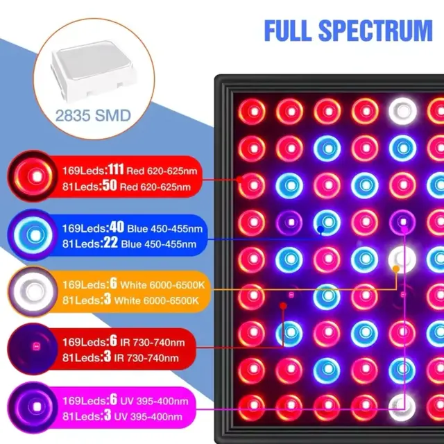 Spectrum