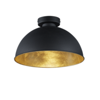 Trio JIMMY plafondlamp | zwart | IP20 | E27 Fitting