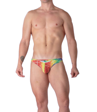 WOH Sexy Fun Micro Briefs Multico Print