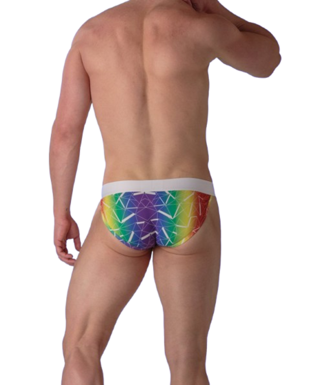 WOH Sexy Fun Tanga Briefs Multico Print