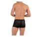 HOM Free Cut Lace Trunk Black (Pre-order Januari 2026)