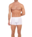 HOM Armand #2 Boxer Briefs 3P Black Blue White