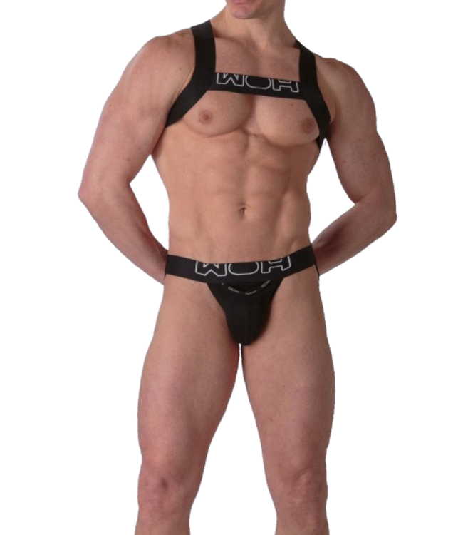 WOH Sexy Fun Harness Black