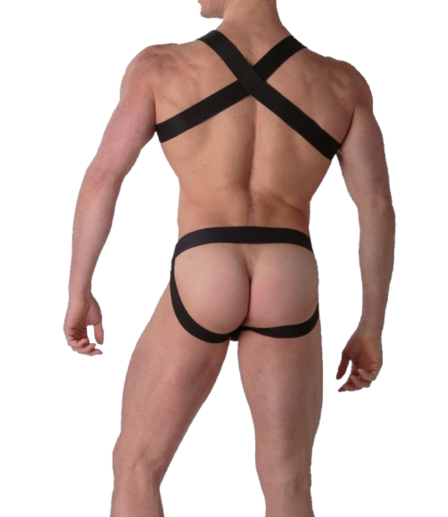 WOH Sexy Fun Harness Black
