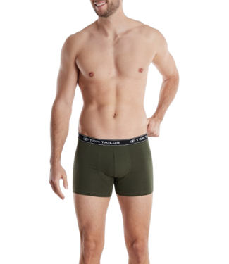 TOM TAILOR Buffer Long Pants 3P Green-Dark-Melange