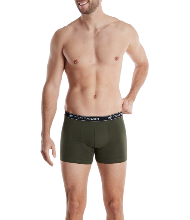 TOM TAILOR Buffer Long Pants 3P Green-Dark-Melange