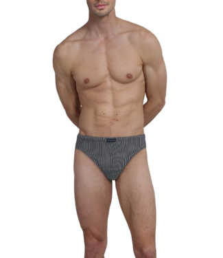 TOM TAILOR Kentucky Mini Briefs 2P Blue-Dark-Vertical-Stripes