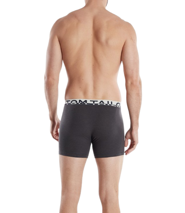 TOM TAILOR Kentucky Long Pants 2P Grey Dark Melange