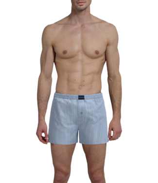 TOM TAILOR Dakota Boxer Shorts 2P Blue-Light-Stripes