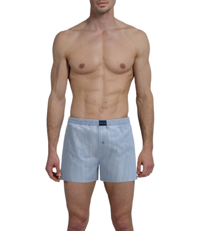 TOM TAILOR Dakota Boxer Shorts 2P Blue-Light-Stripes