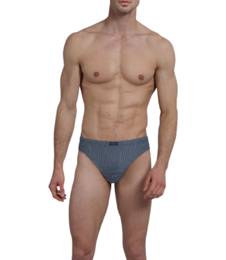 TOM TAILOR Alaska Mini Briefs 2P Blue-Medium-Vertical Stripes