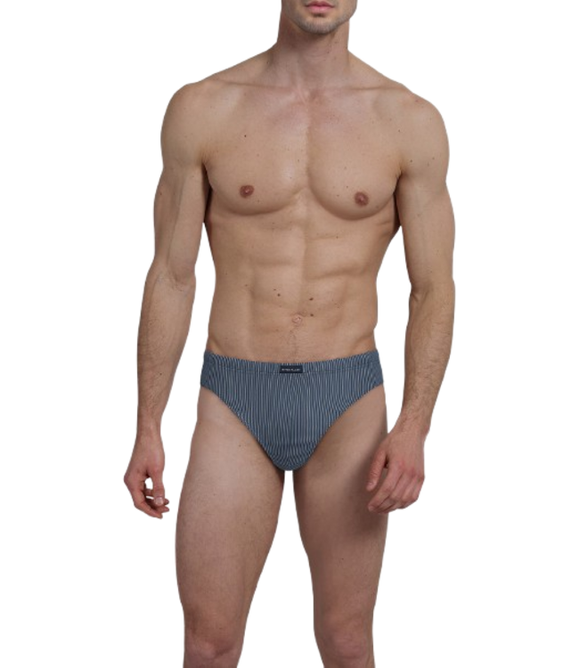 TOM TAILOR Alaska Mini Briefs 2P Blue-Medium-Vertical Stripes