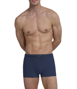 TOM TAILOR Vito Trunk Blue-Medium-Solid