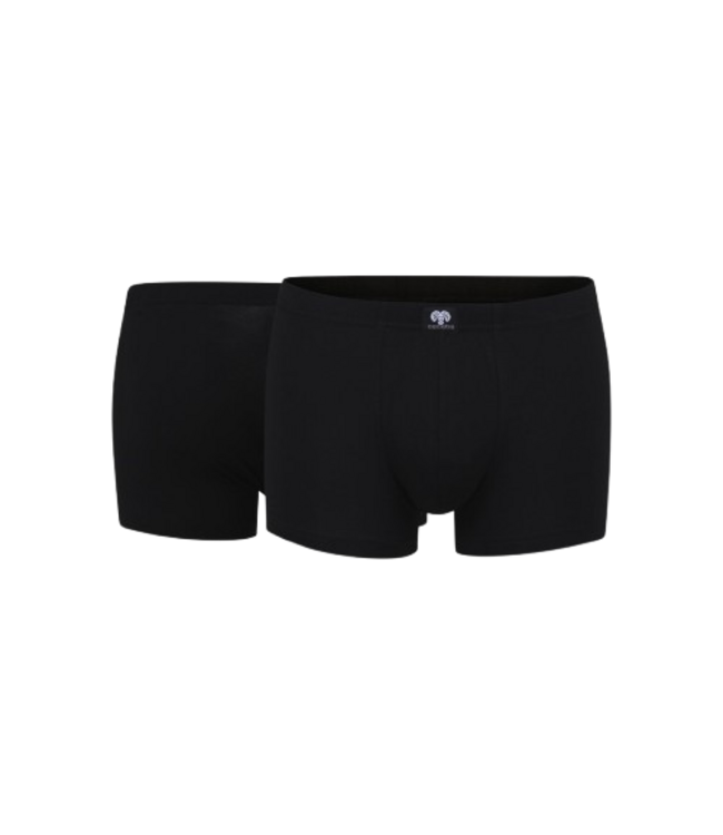 CECEBA Daytona Trunk 2P Black