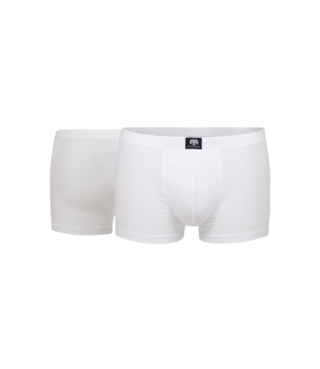 CECEBA Daytona Trunk 2P White
