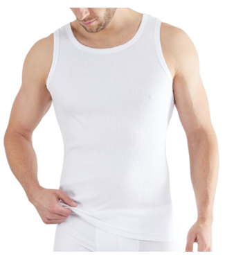 TOM TAILOR Montana Tanktop 2P White