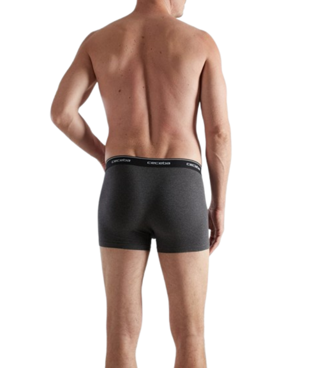 CECEBA Monza Trunk 2P Grey Dark Solid