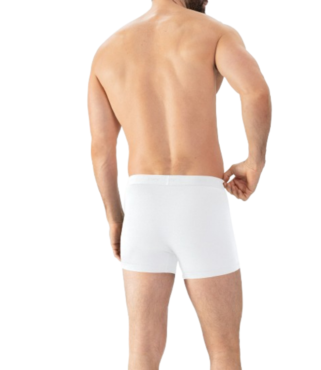 MEY Comfort Cotton Trunk Shorty White