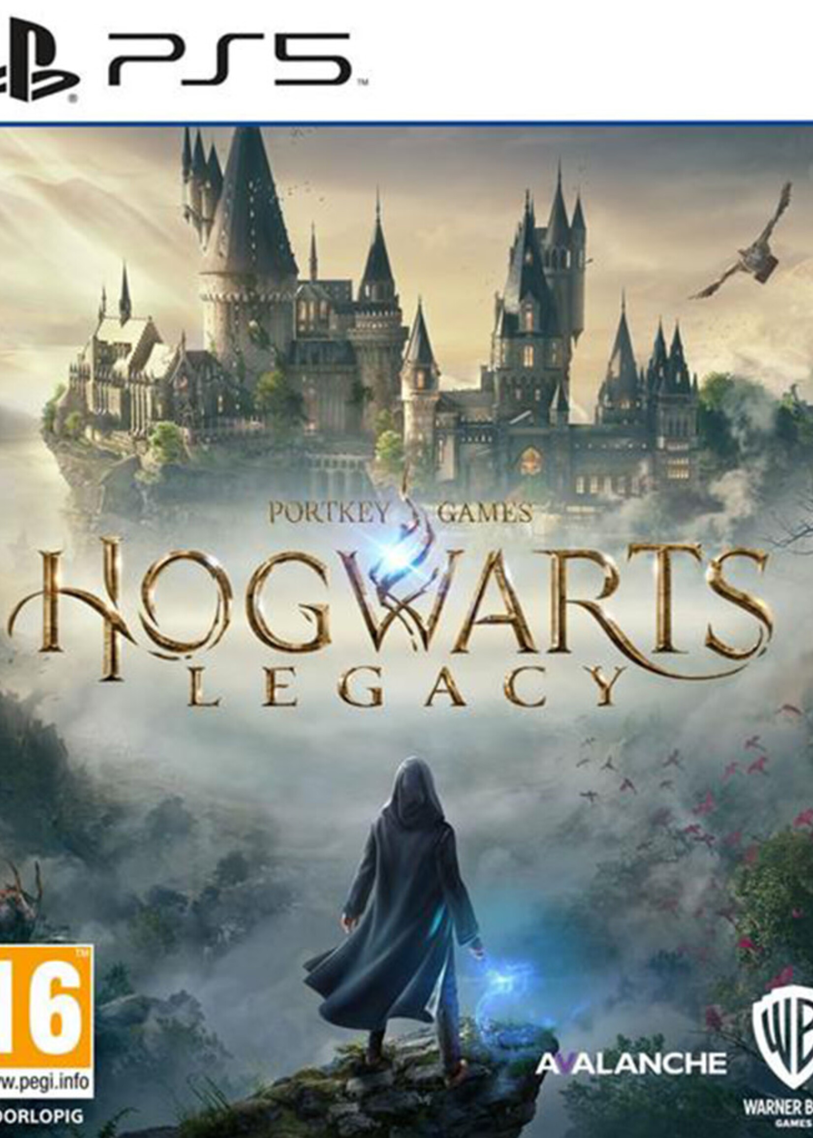 Hogwarts Legacy PS5