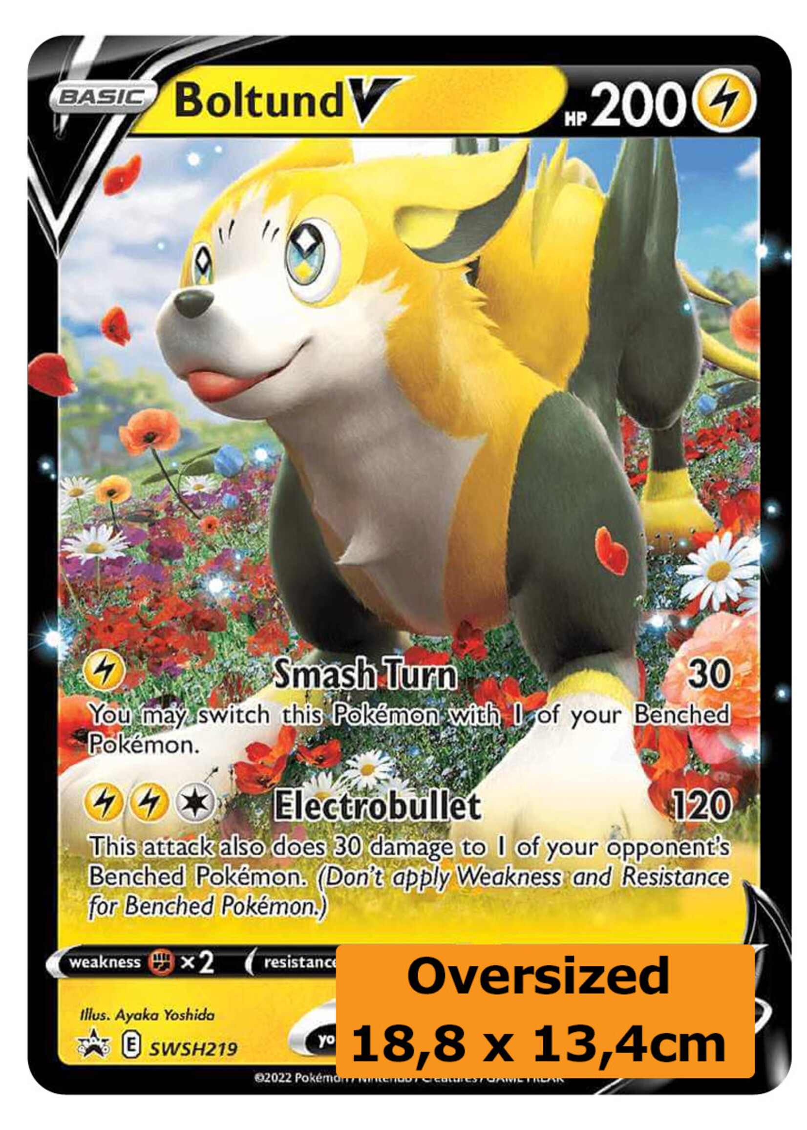 Boltund V 219 (SWSH) Grote Kaart: near mint