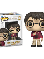 Harry Potter Anniversary Funko N° 132 Harry With The Stone