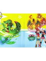 Pokemonmap voor 240 kaarten Dawn en May