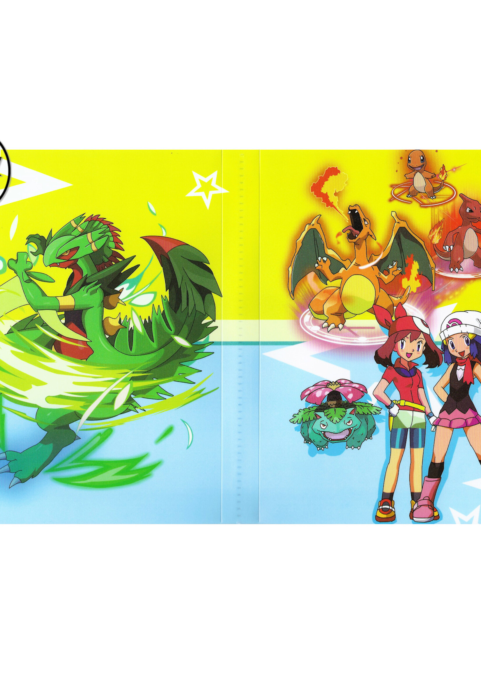 Pokemonmap voor 240 kaarten Dawn en May