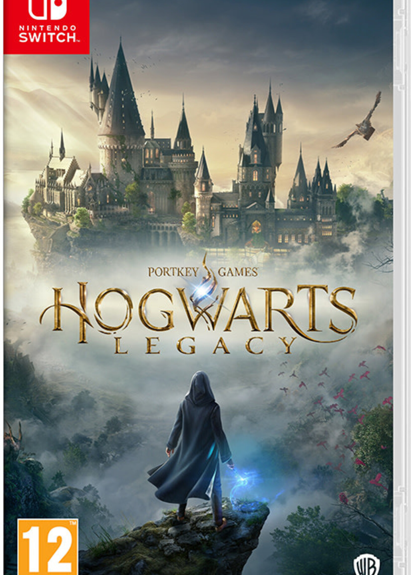 Hogwarts Legacy Switch