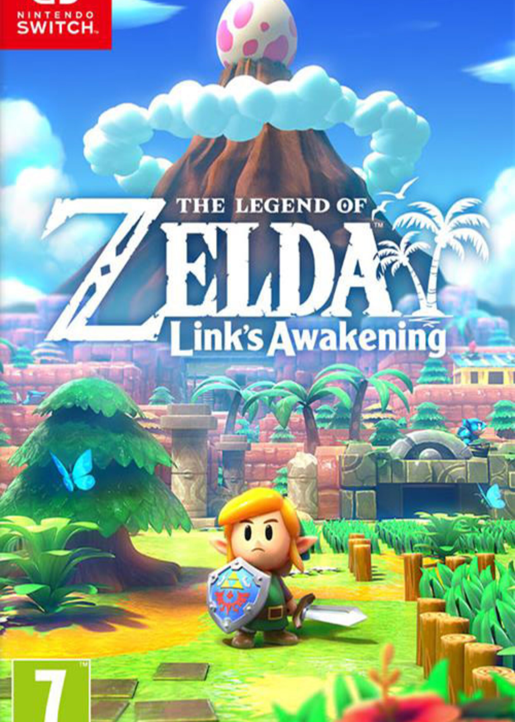 The Legend of Zelda Link's Awakening Switch