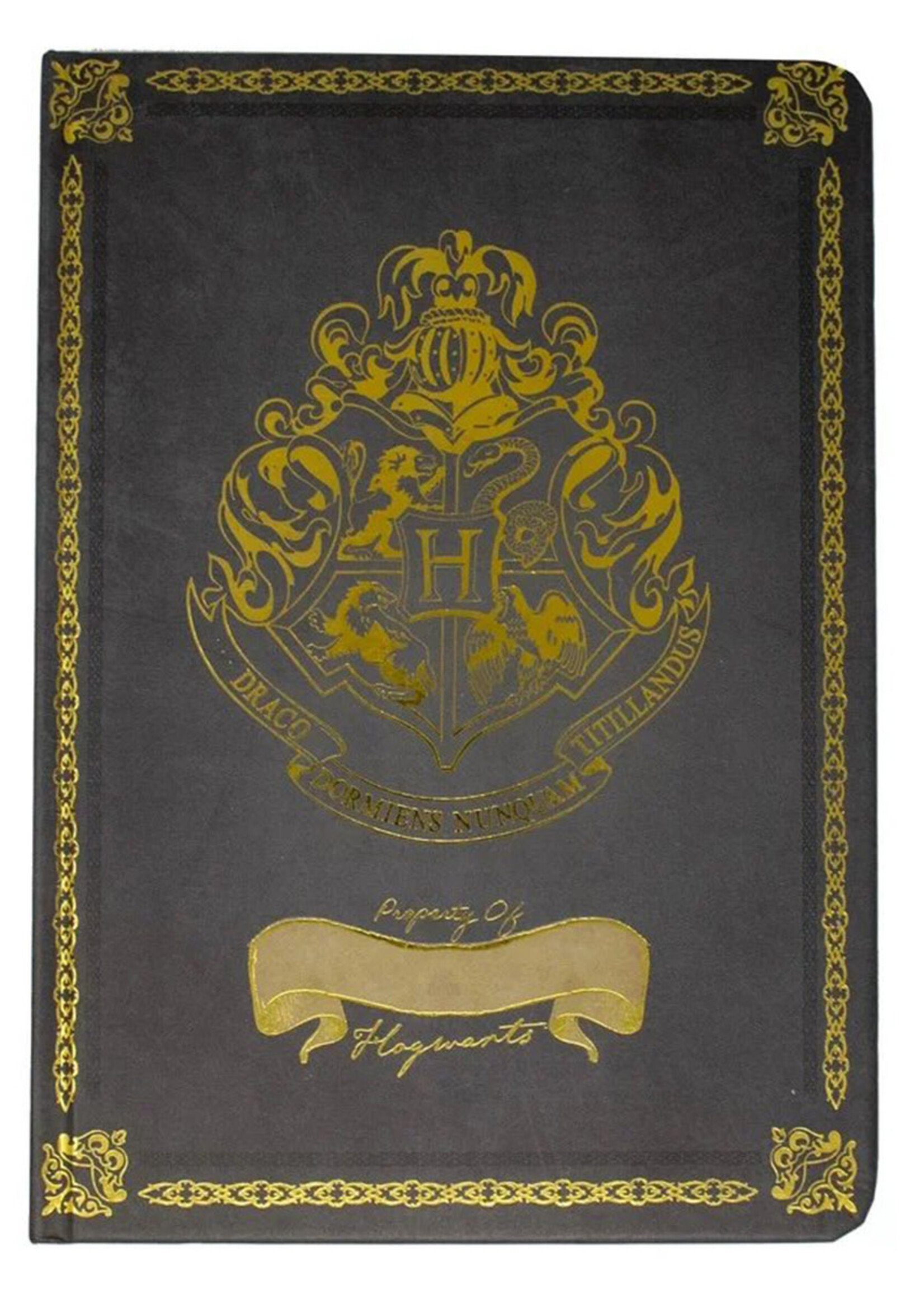Harry Potter Hogwarts A5 Notebook