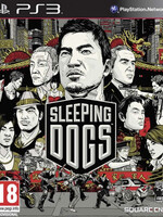 Sleeping Dogs PS3