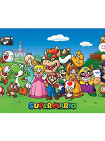Super Mario Characters Poster 61x91cm