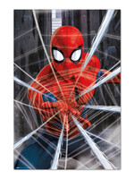 Marvel Spider Man Gotcha Poster 61x91cm
