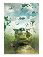 Star Wars Grogu Training  Poster 61x91cm