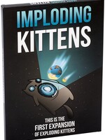 Imploding Kittens ENG