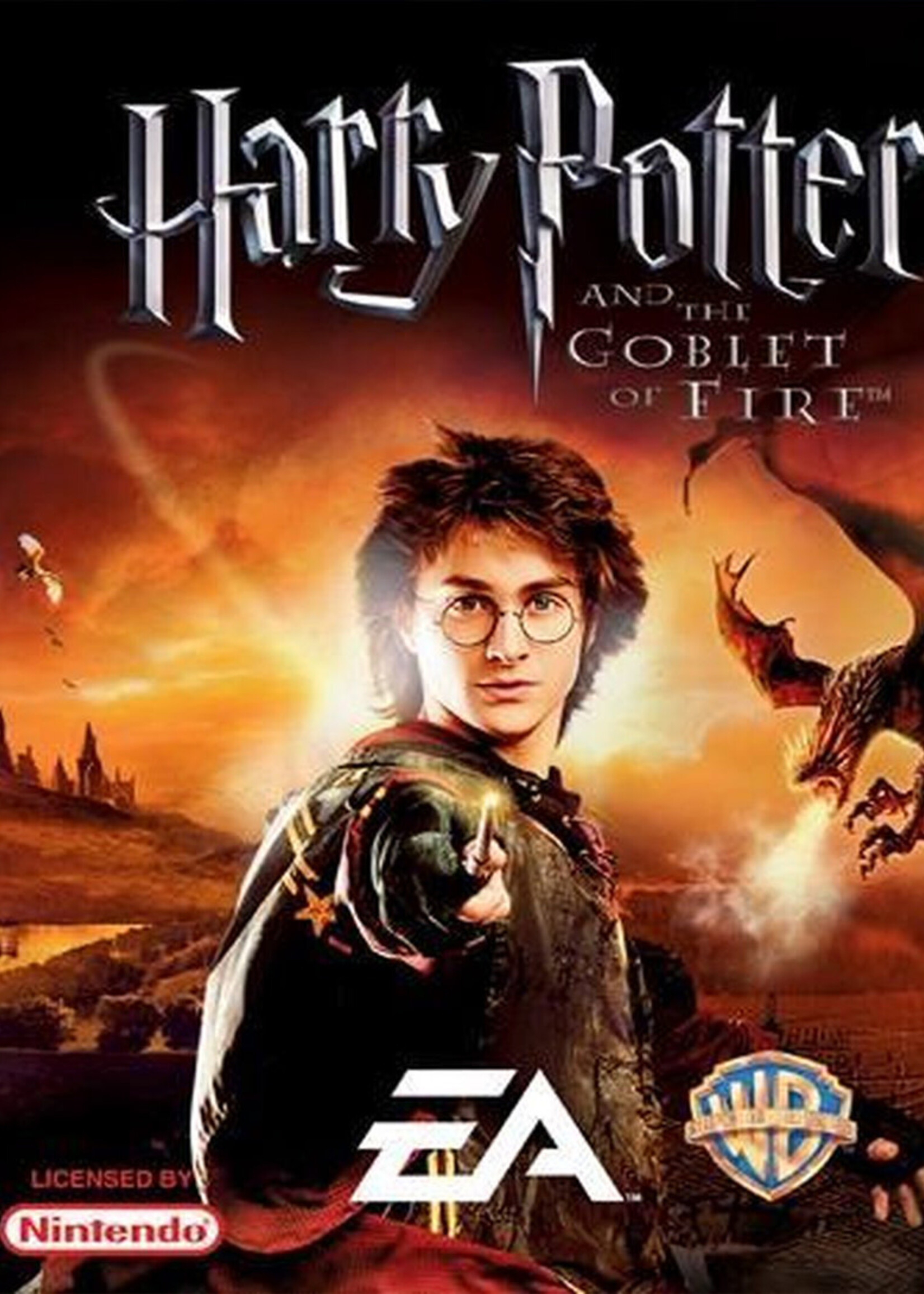 Harry Potter And The Goblet of Fire DS