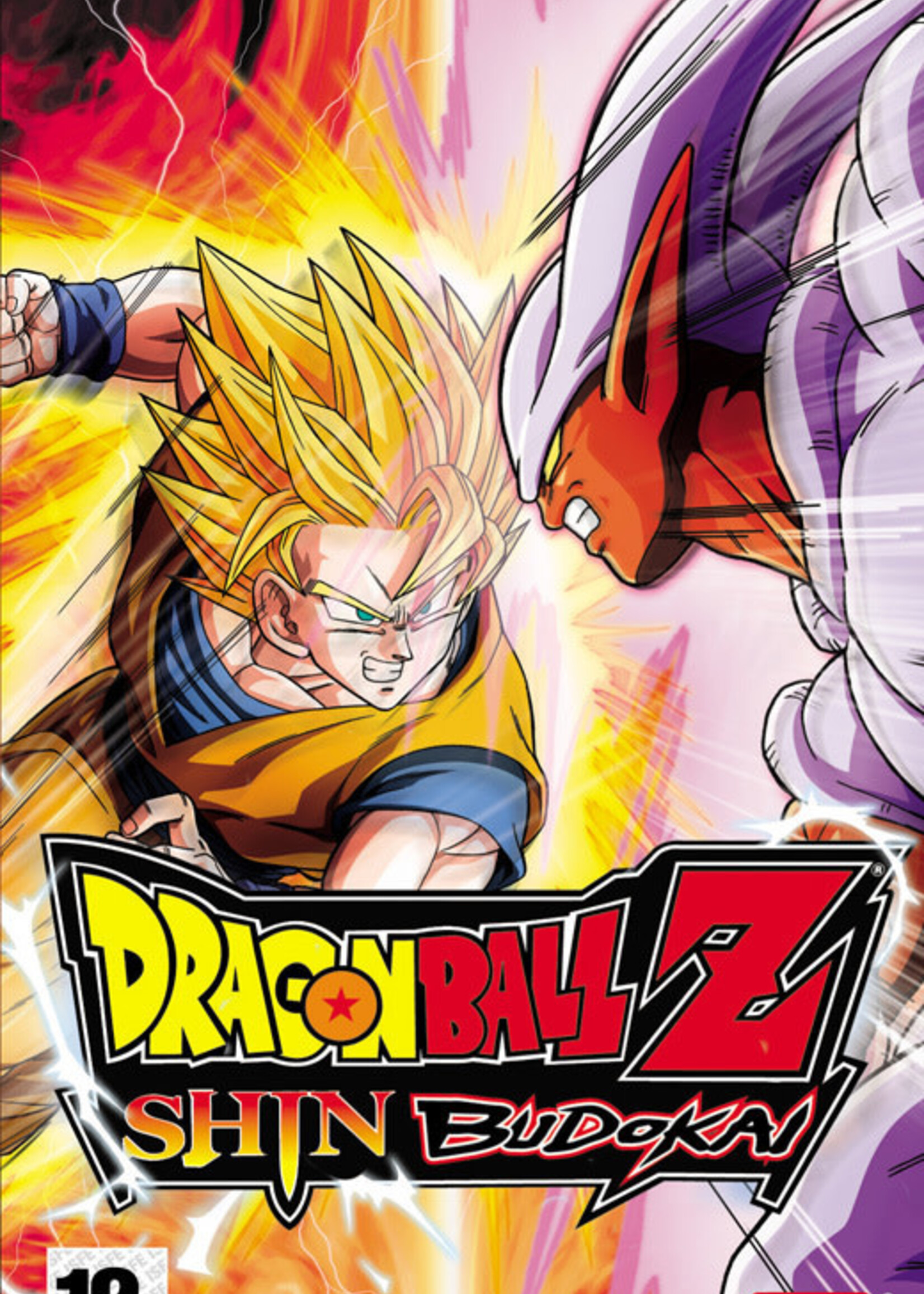 Dragon Ball Z Shin Budokai      PSP