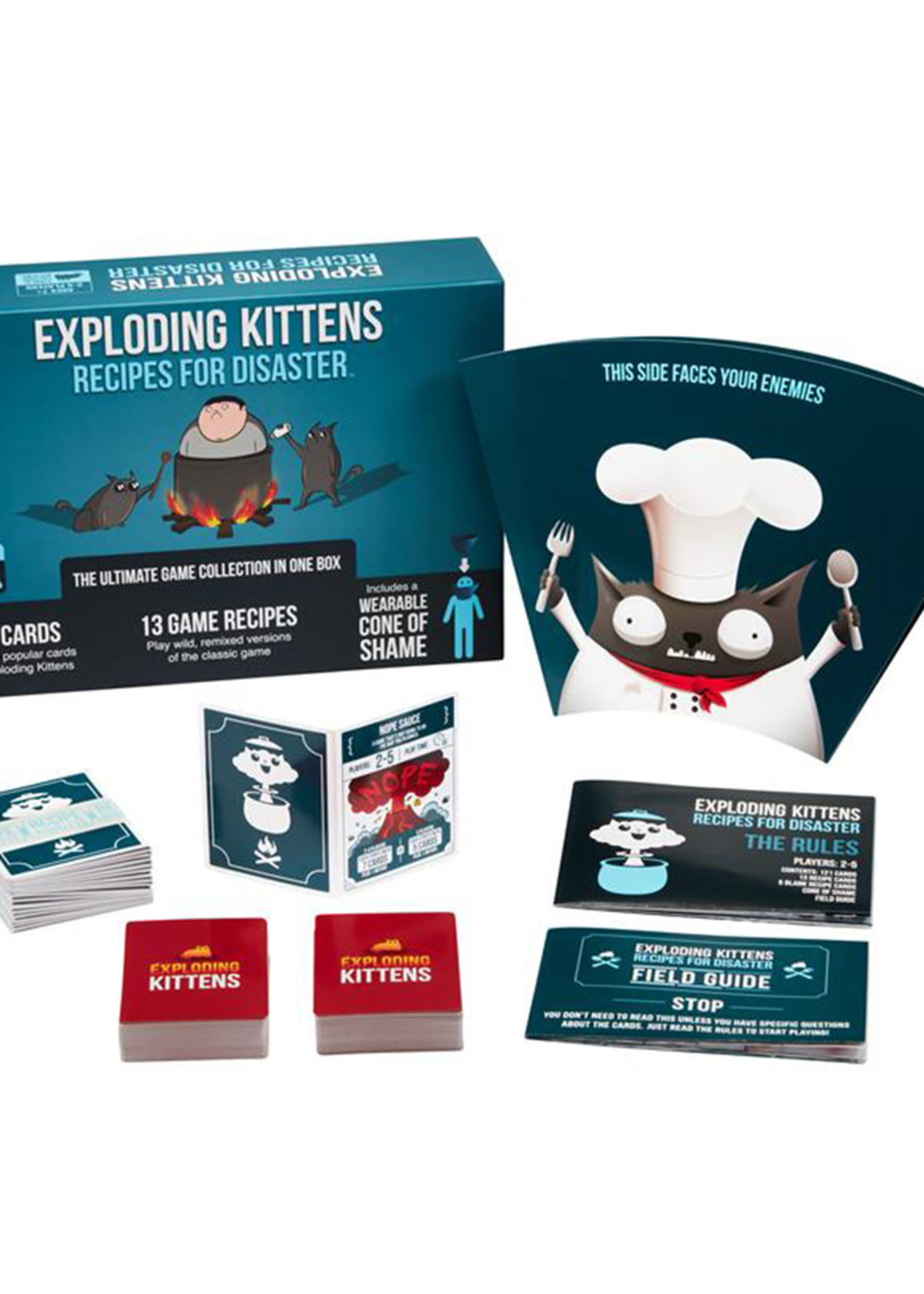 Exploding Kittens Recipes for Disaster