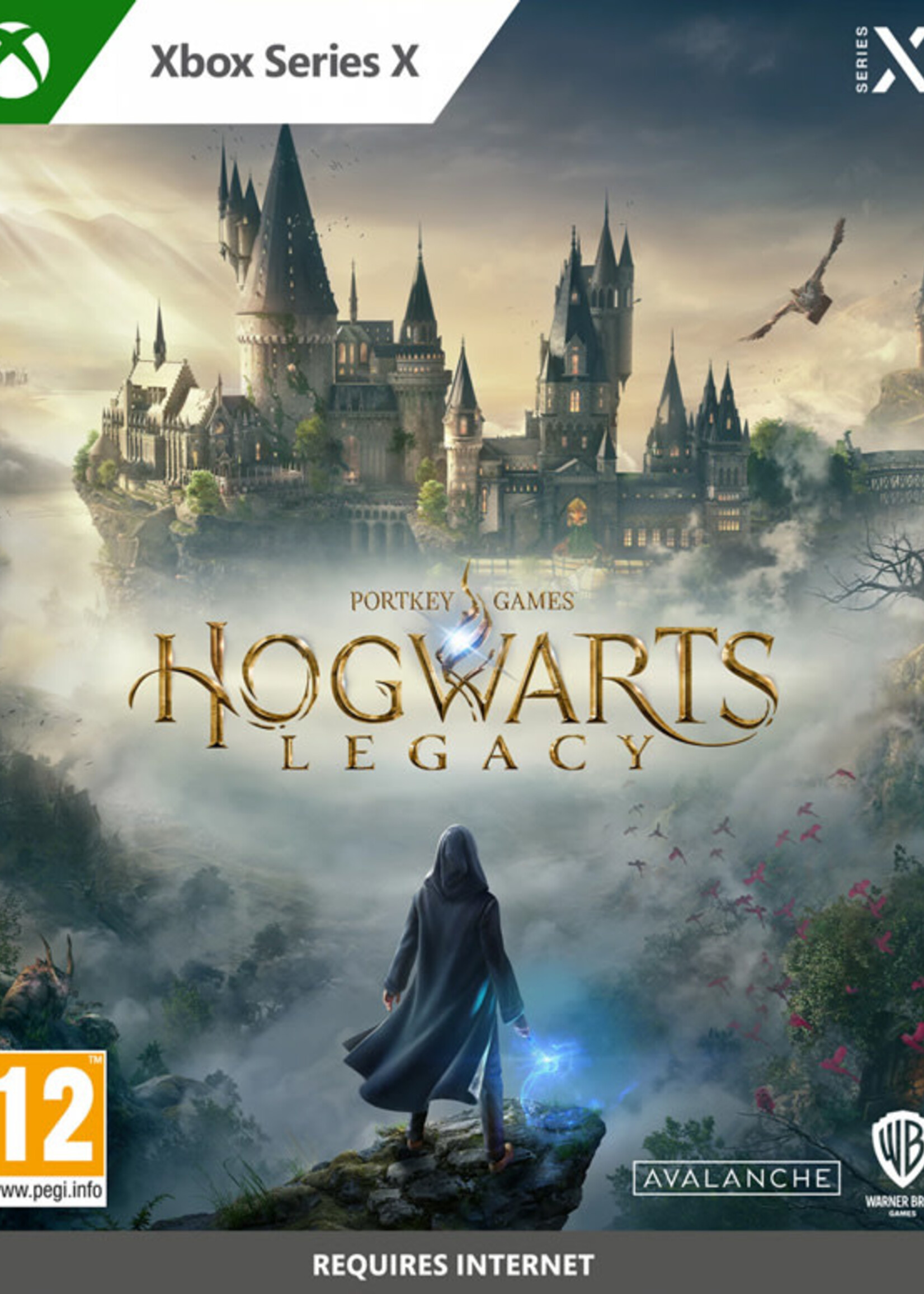 Hogwarts Legacy Series X