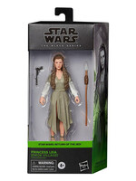 Star Wars Princess Leia Ewok  Village Figure Black Series