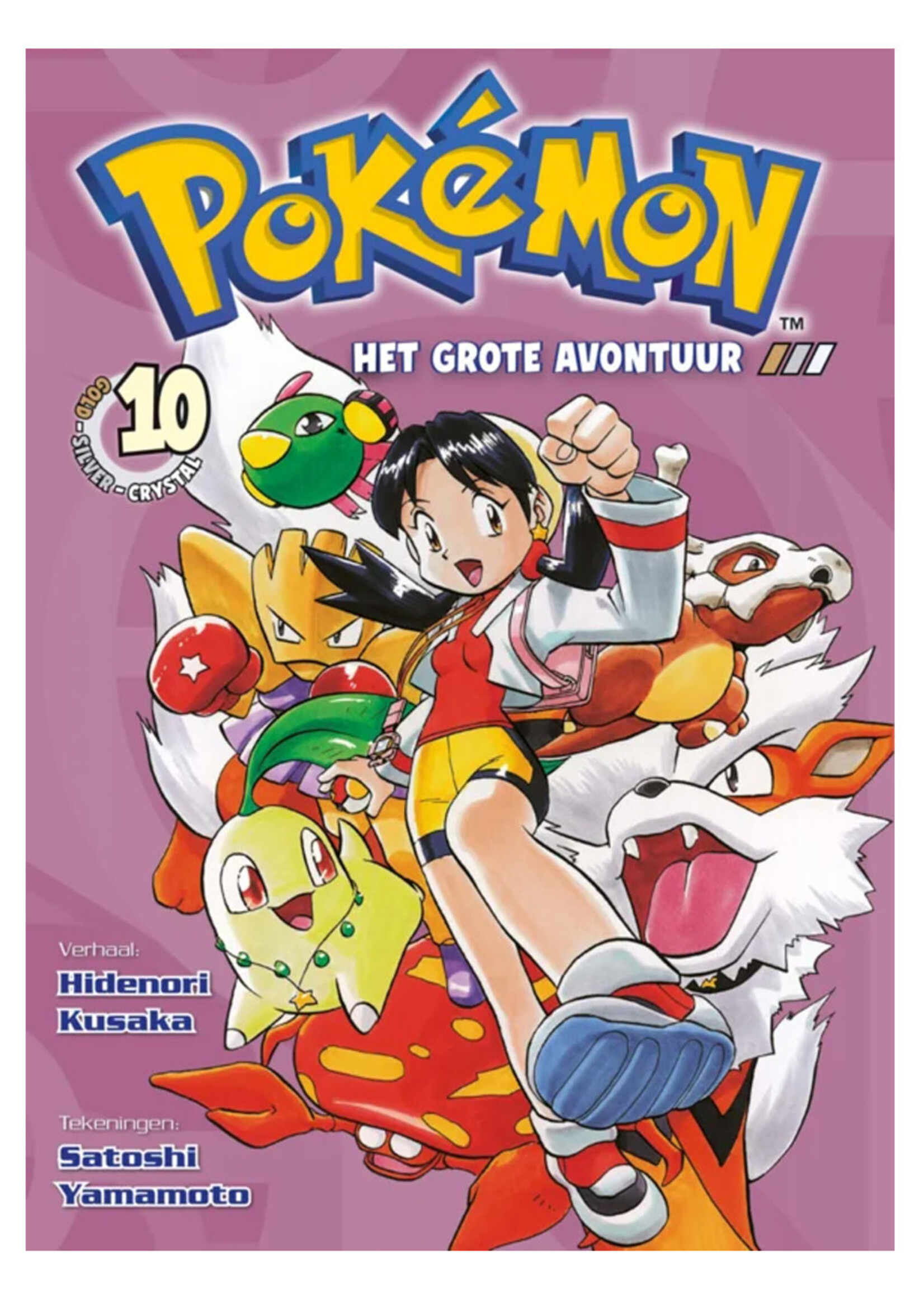 Pokemon Het Grote Avontuur Deel 10