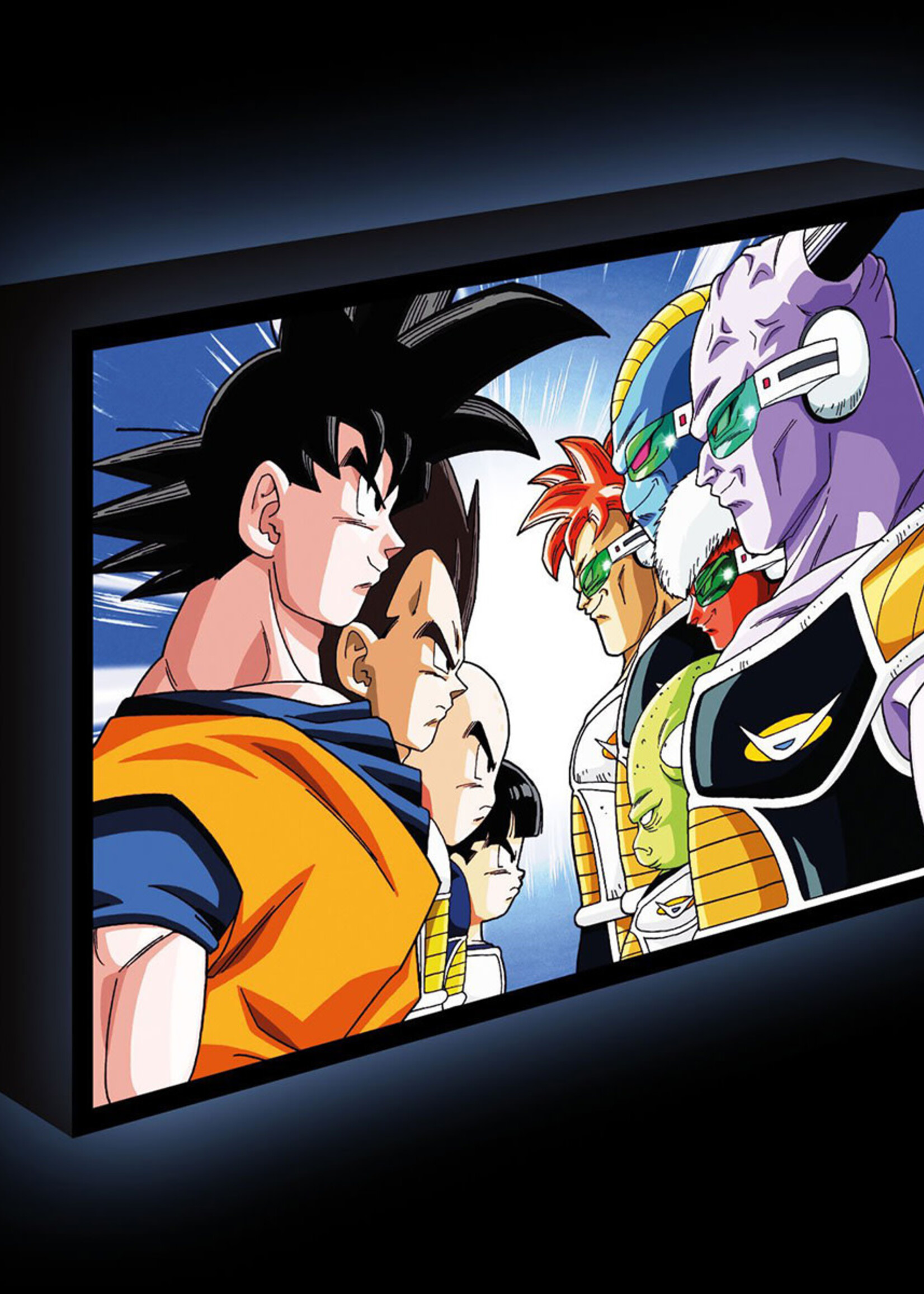 Dragon Ball Z Face Off Light  Canvas 40X30Cm