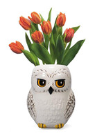 Harry Potter Hedwig Wall  Mounted Flower Pot