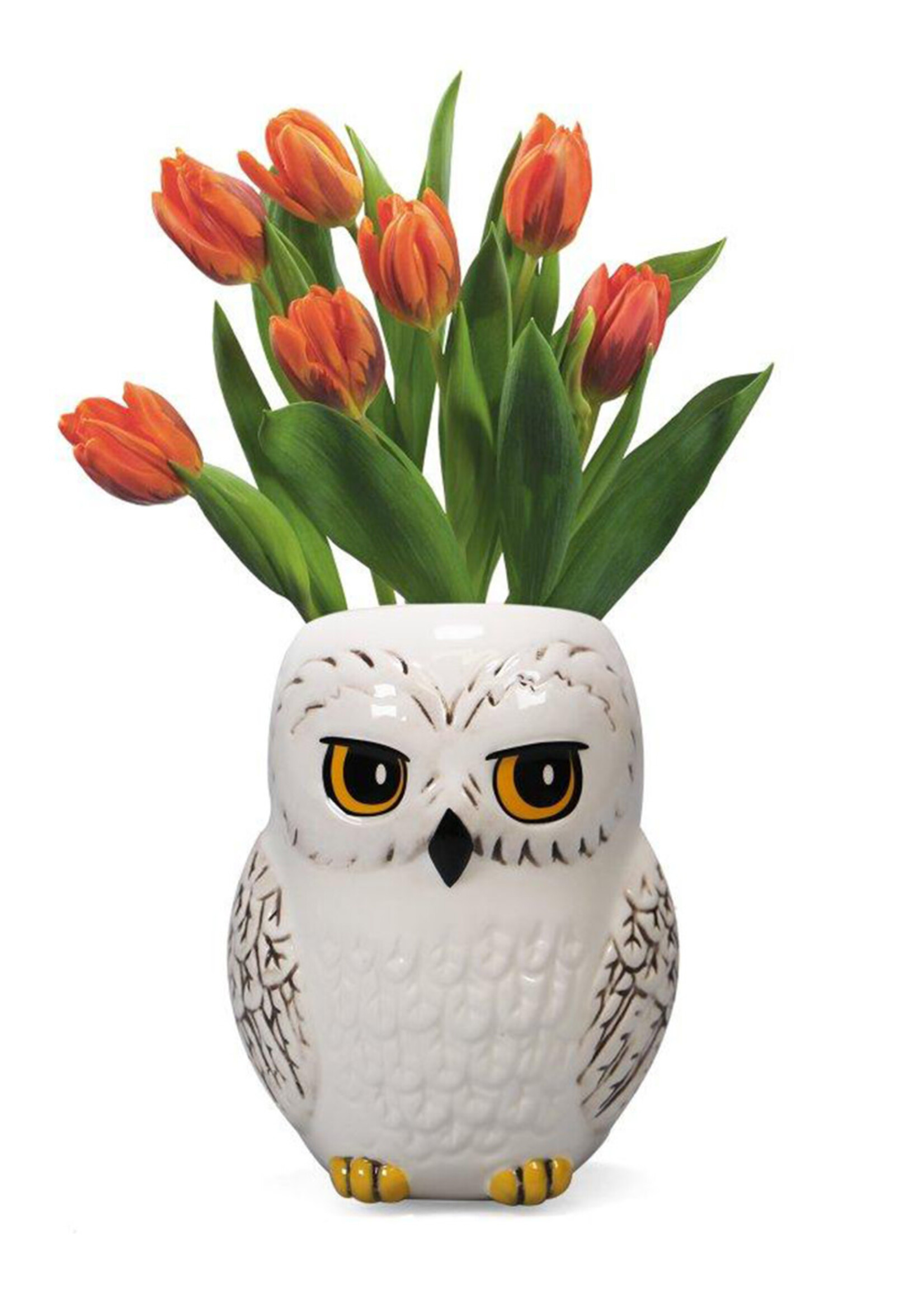 Harry Potter Hedwig Wall  Mounted Flower Pot