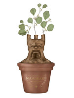Harry Potter Mandrake Table Top Vase