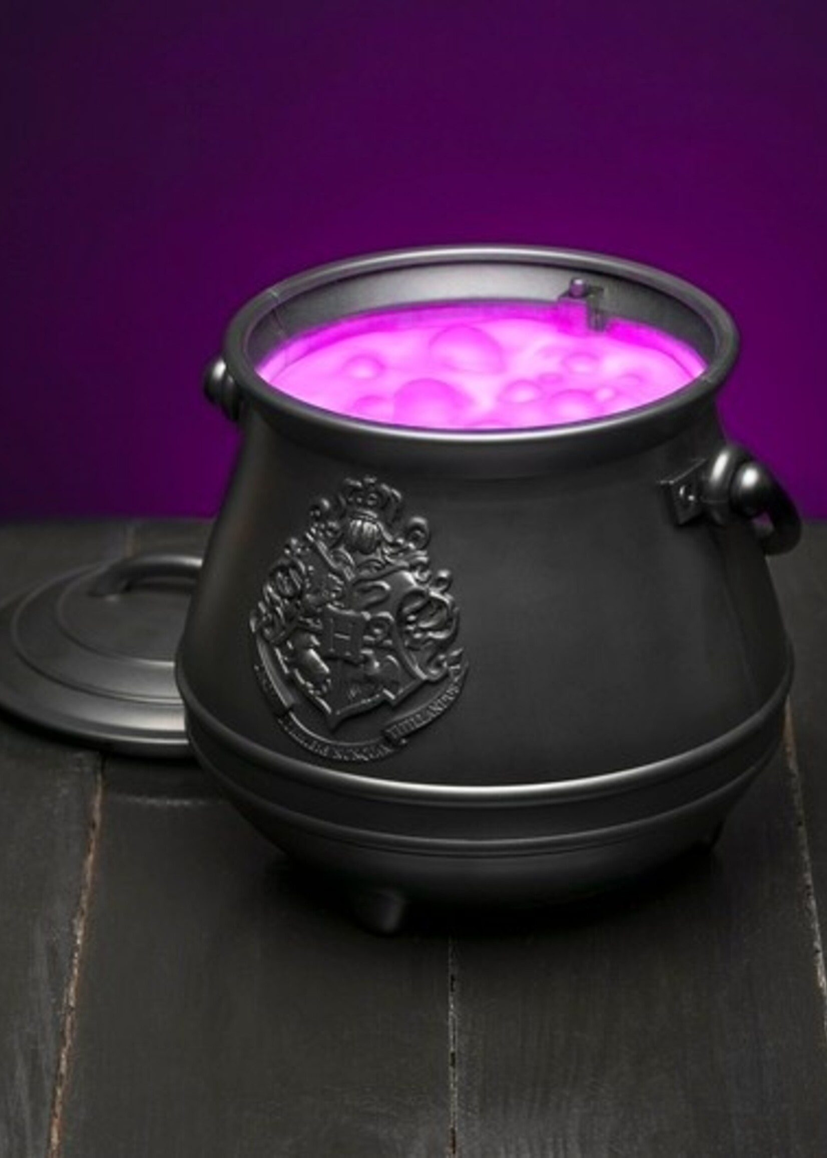 Harry Potter Portable Cauldron  Lamp
