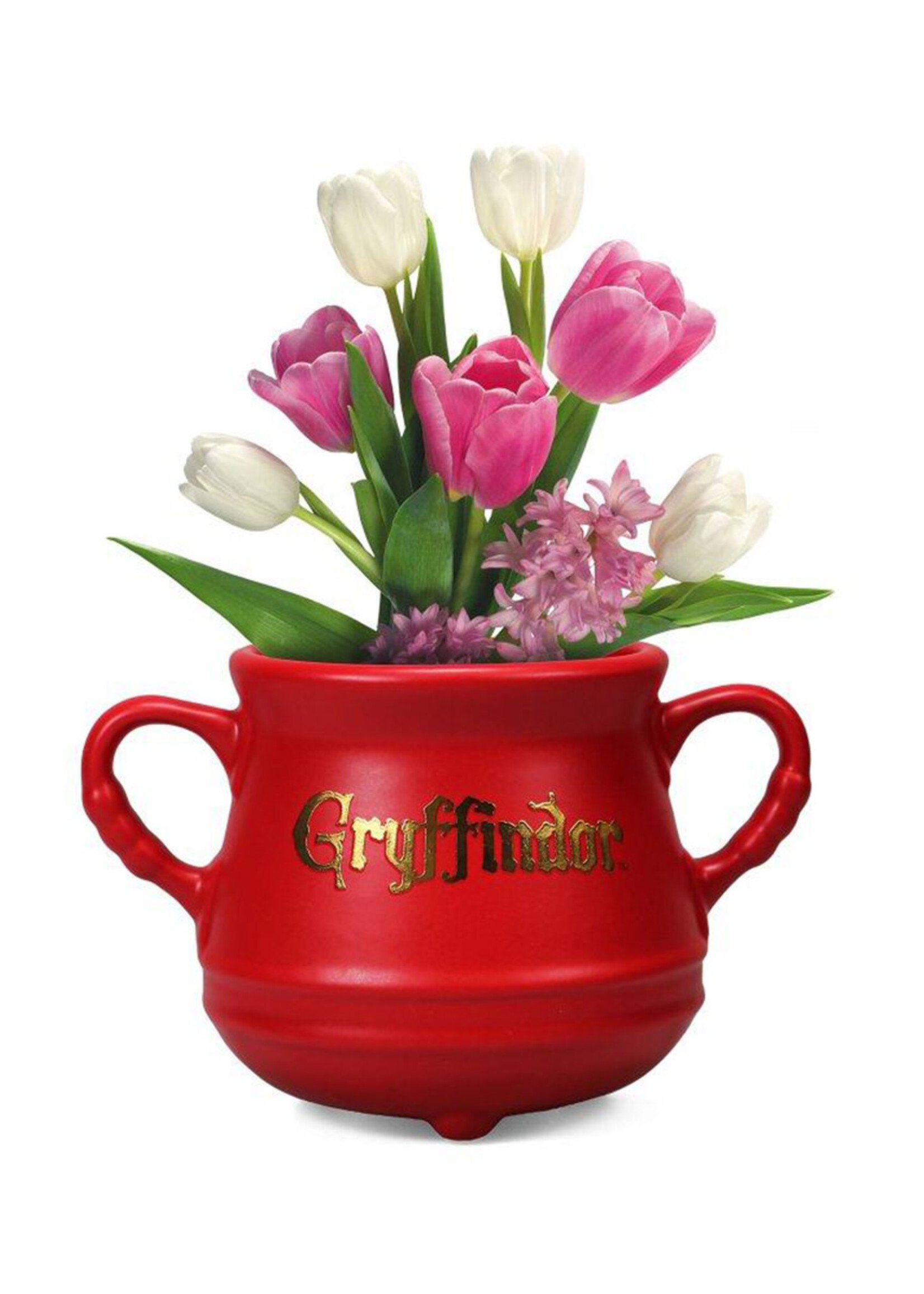 Harry Potter Red Cauldron Wall  Mounted Flower Pot