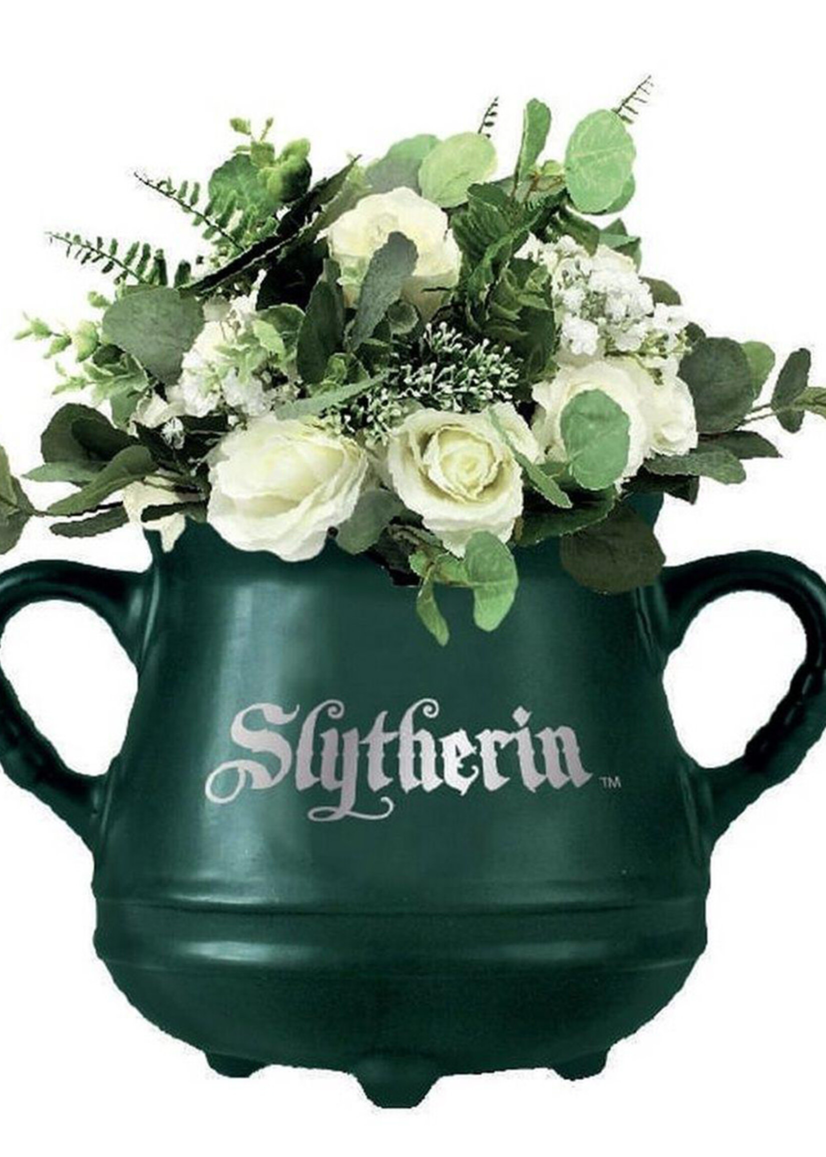 Harry Potter Slytherin  Cauldron Wall Mounted Pot