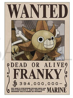 One Piece Wanted Bounty Poster  Franky 42x30cm